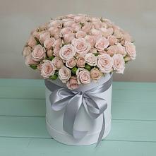 Цветочная композиция из Розы в шляпной коробке #REPLACE_PRED# Верхнем Мамоне