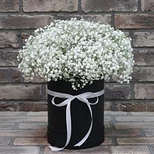 Цветочная композиция из Гипсофила в шляпной коробке в Верхнем Мамоне